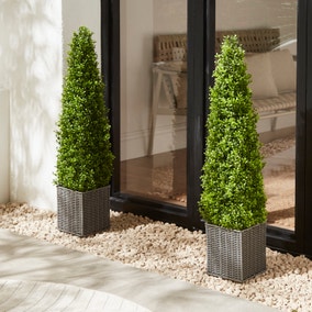 Set of 2 Artificial Boxwood Cone Shaped Trees in Woven Plant Pots